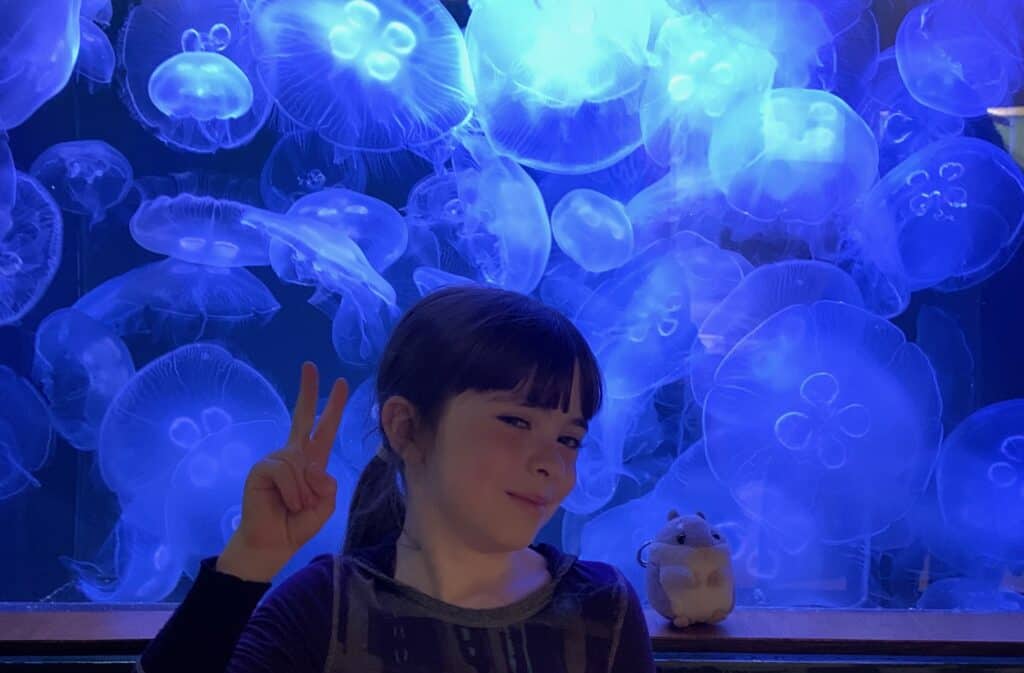 A little girl at Cabrillo Marine Aquarium in San Pedro