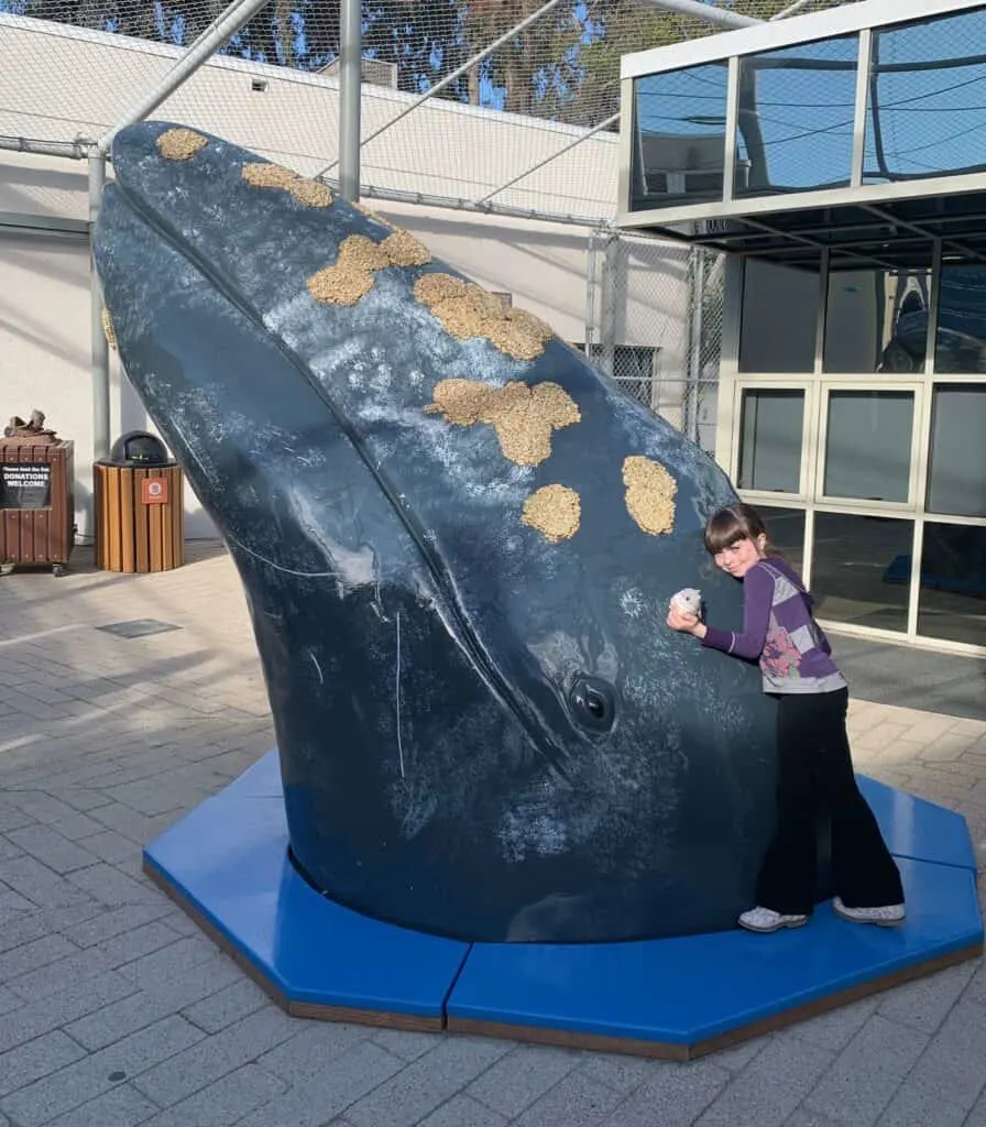 Girl hugging a whale at Cabrillo Marine Aquarium in San Pedro