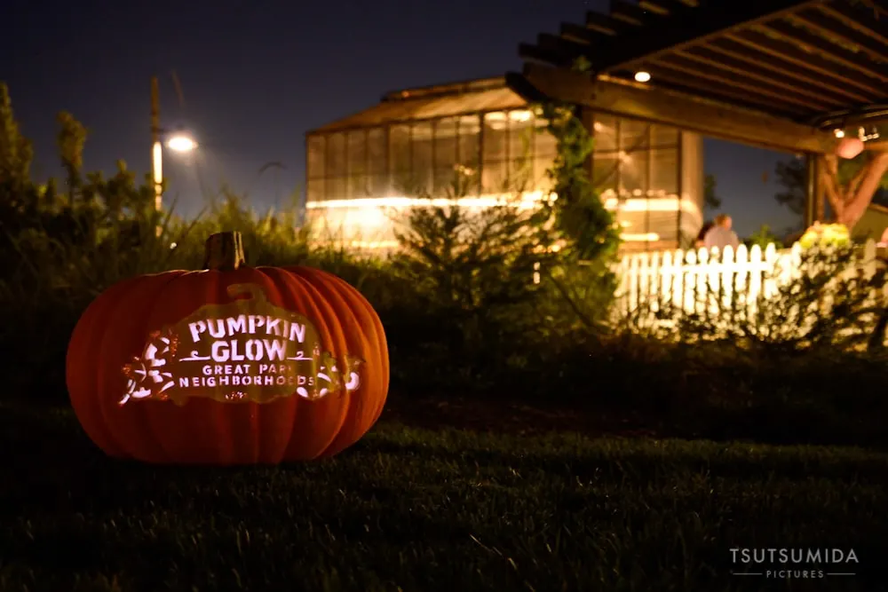 Pumpkin Glow Graphic