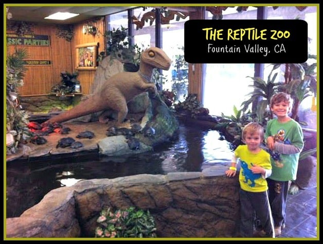 $8.50 Deal to The Reptile Zoo in Fountain Valley, CA