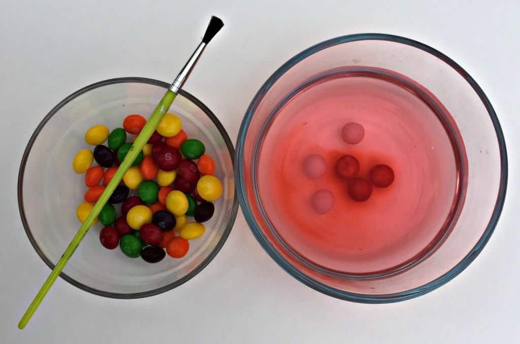 Learn to make Skittles Watercolor Paint with the this step-by-step tutorial with pictures!