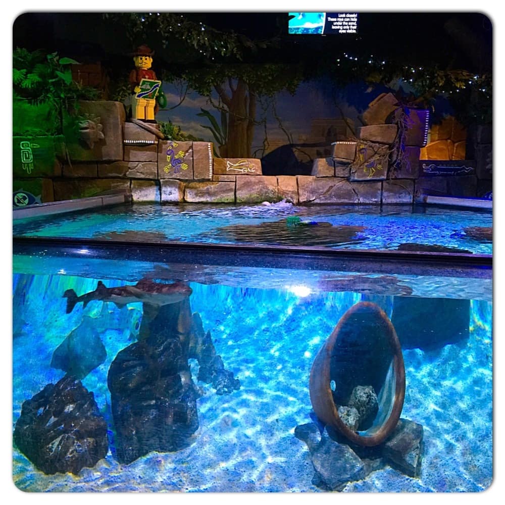 A Picture Tour of Sea Life Aquarium at LEGOLAND California Resort ...