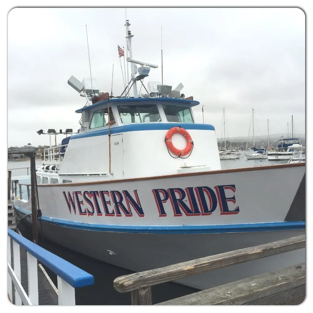 Dramamine&reg; Non-Drowsy Naturals contains the clinically tested ginger dosage required for preventing and treating motion sickness symptoms like nausea and vomiting.  Plus since it&rsquo;s made from natural ginger, it is approved for use in adults and children two years and older and safe to use every day when you travel. 