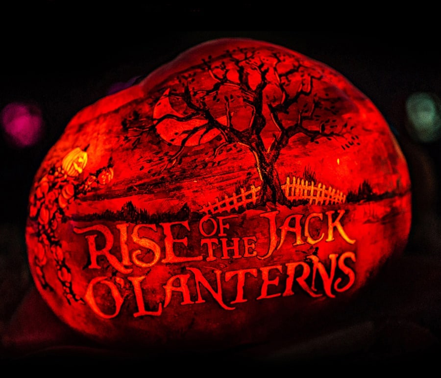 Get ready to marveled at over 5,000 beautifully lit pumpkin carvings of our favorite characters, celebrities and more at this year's Rise of the Jack O'Lanterns. With new and exciting additions for 2016, bring the whole family for a not-too-spooky stroll where you'll go out of your gourd seeing these intricately carved pumpkins, arranged according to various themes, from movie and TV-show characters to classic cars, safari animals and even a giant dragon display, all accompanied by an original score. Discount tickets available online!