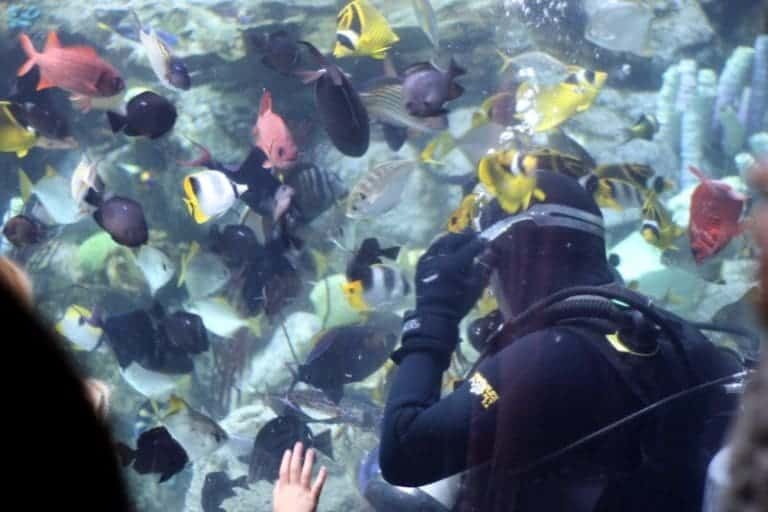 Homeschool Days at The Aquarium of the Pacific SoCal Field Trips