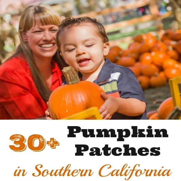 Your complete guide to 30+ Pumpkin Patches in Southern California, all the way from Santa Barbara to San Diego.