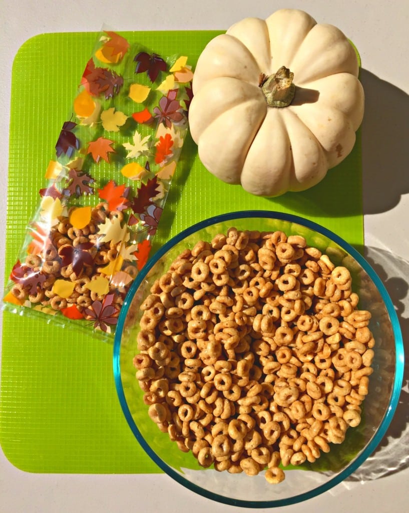 Harvest Trail Mix For Fall Sports Teams