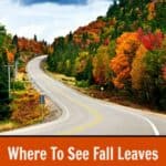 Where to see fall leaves in Southern California. From Santa Barbara to San Diego, you can see autumn leaves change from yellow to orange to red.