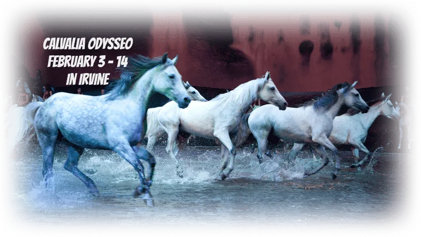 Discount Tickets to Odysseo in Orange County