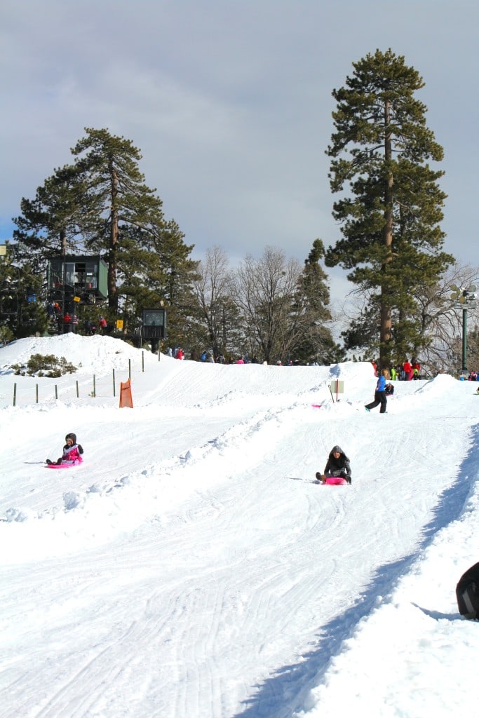 Snow Slides at Snow Valley