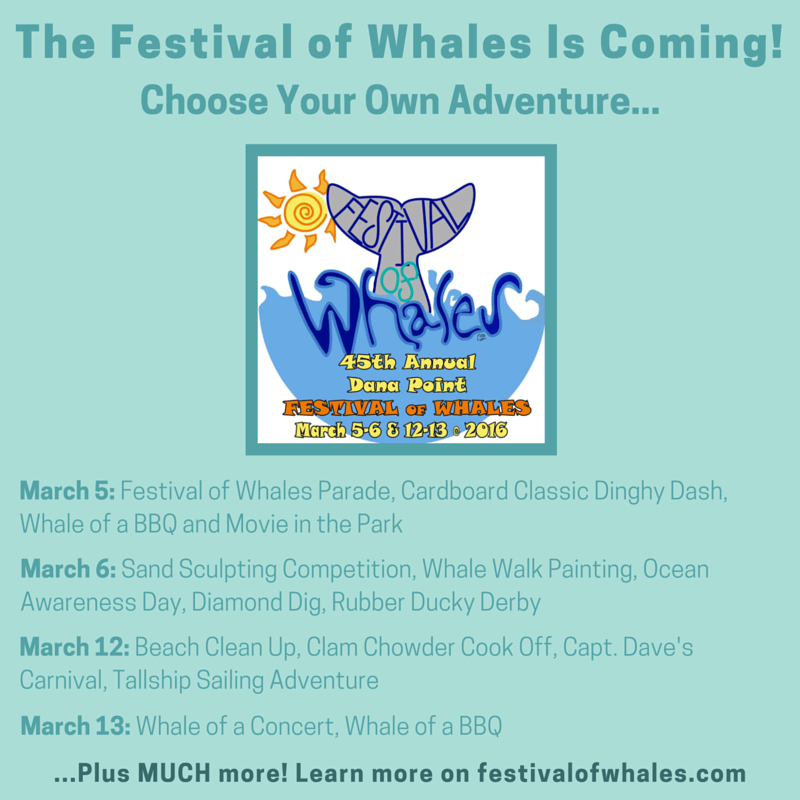 5 Ways to Enjoy Dana Point Festival of Whales