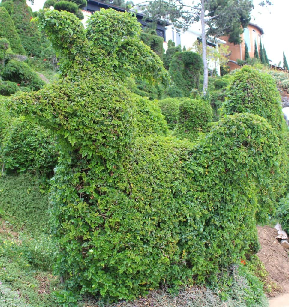 Edna Harper's Topiary Garden in San Diego is made of 50 or so whimsical characters including elephants, whales, a rooster, a bunny, and Mickey Mouse.