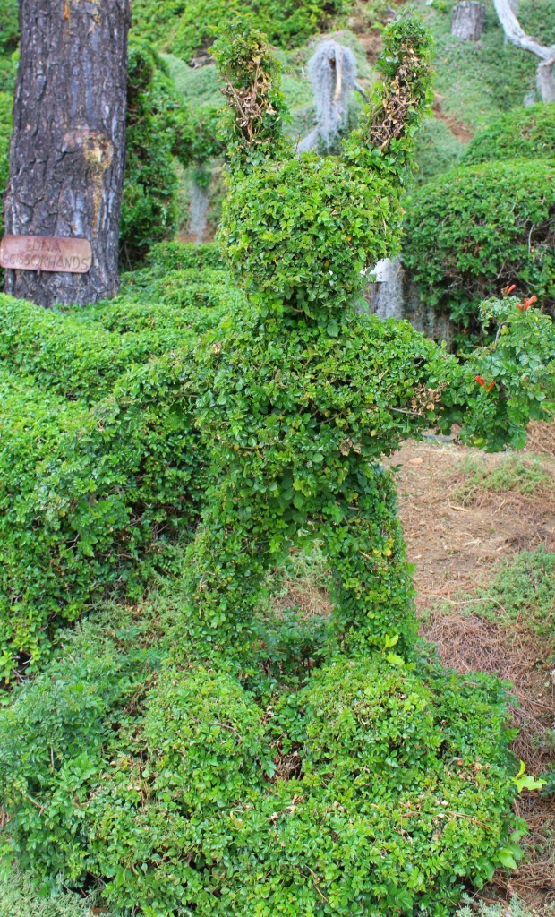 Edna Harper's Topiary Garden in San Diego is made of 50 or so whimsical characters including elephants, whales, a rooster, a bunny, and Mickey Mouse.