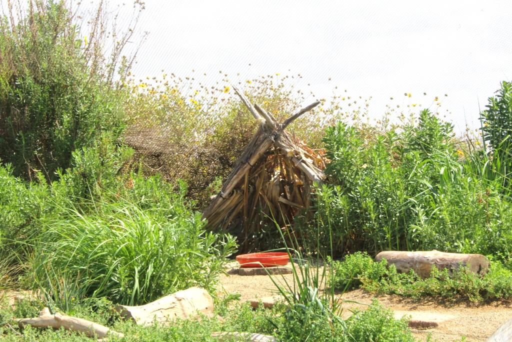 The Living Coast Discovery Center is a small zoo and aquarium educational facility located on the San Diego National Wildlife Refuge, Sweetwater Marsh Unit. The interactive nature center focuses on animals native to the San Diego Bay such as stingrays and sea turtles. They offer field trips for school groups, homeschoolers and scout troops all year round.