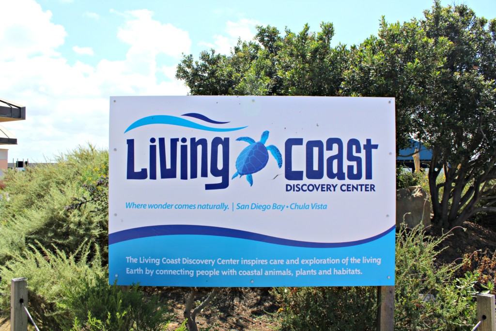 The Living Coast Discovery Center is a small zoo and aquarium educational facility located on the San Diego National Wildlife Refuge, Sweetwater Marsh Unit. The interactive nature center focuses on animals native to the San Diego Bay such as stingrays and sea turtles. They offer field trips for school groups, homeschoolers and scout troops all year round.