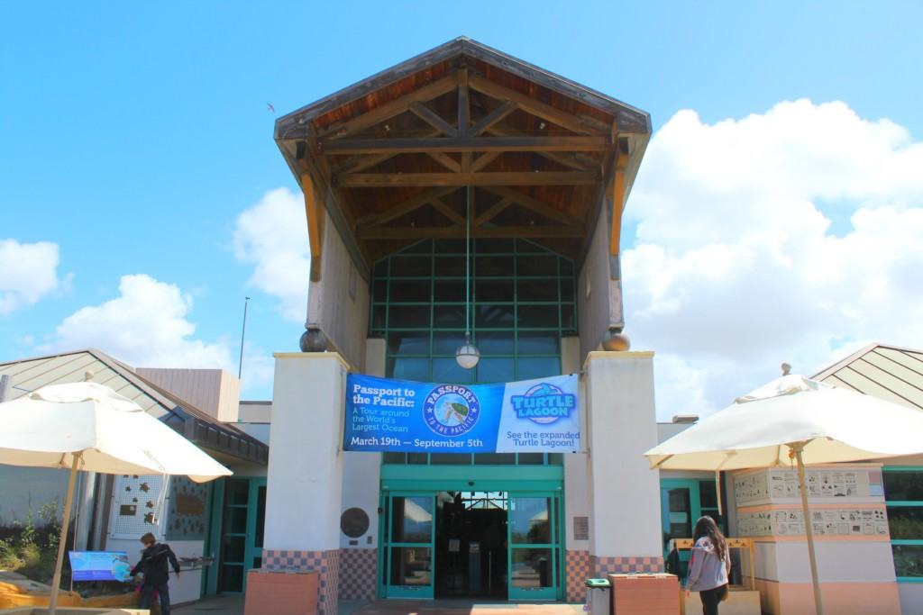 The Living Coast Discovery Center is a small zoo and aquarium educational facility located on the San Diego National Wildlife Refuge, Sweetwater Marsh Unit. The interactive nature center focuses on animals native to the San Diego Bay such as stingrays and sea turtles. They offer field trips for school groups, homeschoolers and scout troops all year round.