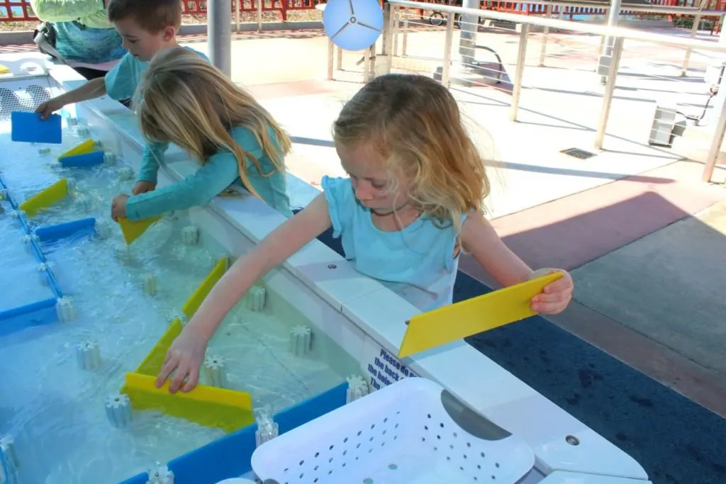 Birch Aquarium School Programs