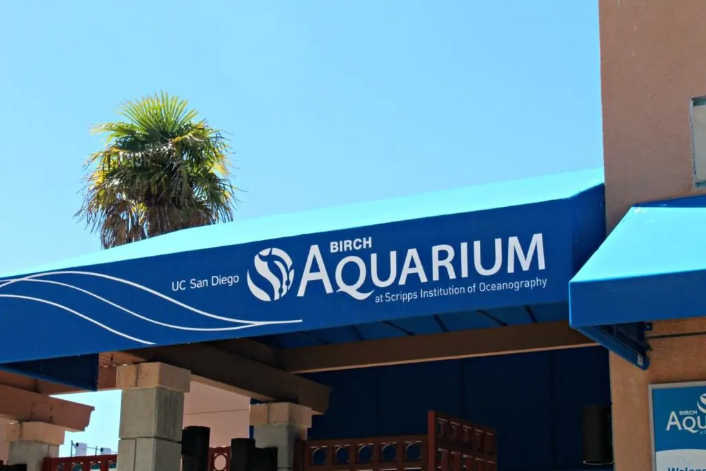 The Birch Aquarium at Scripps in La Jolla is a quaint aquarium that sits on top of a hillside and provides spectacular views of the Pacific Ocean. The aquarium has more than 5,000 animals representing 380 species. The Hall of Fishes has everything you might want to see - starfish, jelly fish, octopus, crabs, seahorses, turtles and more.