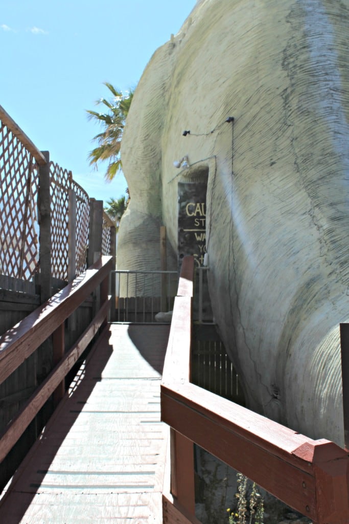 Cabazon Dinosaurs is one of the numerous dinosaur museums in Southern California that offer fields trips for schools, homeschoolers and scout troops.