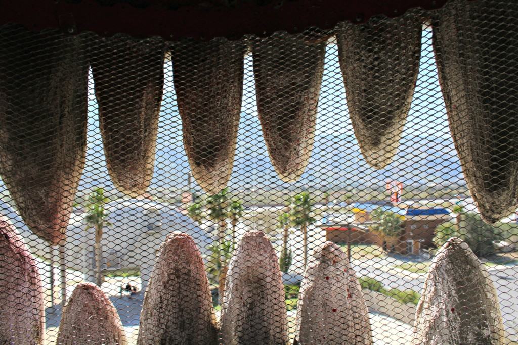 Cabazon Dinosaurs, also referred to as Claude Bell's Dinosaurs, are enormous, sculptured roadside attractions located in Cabazon, California, and visible to the immediate north of Interstate 10