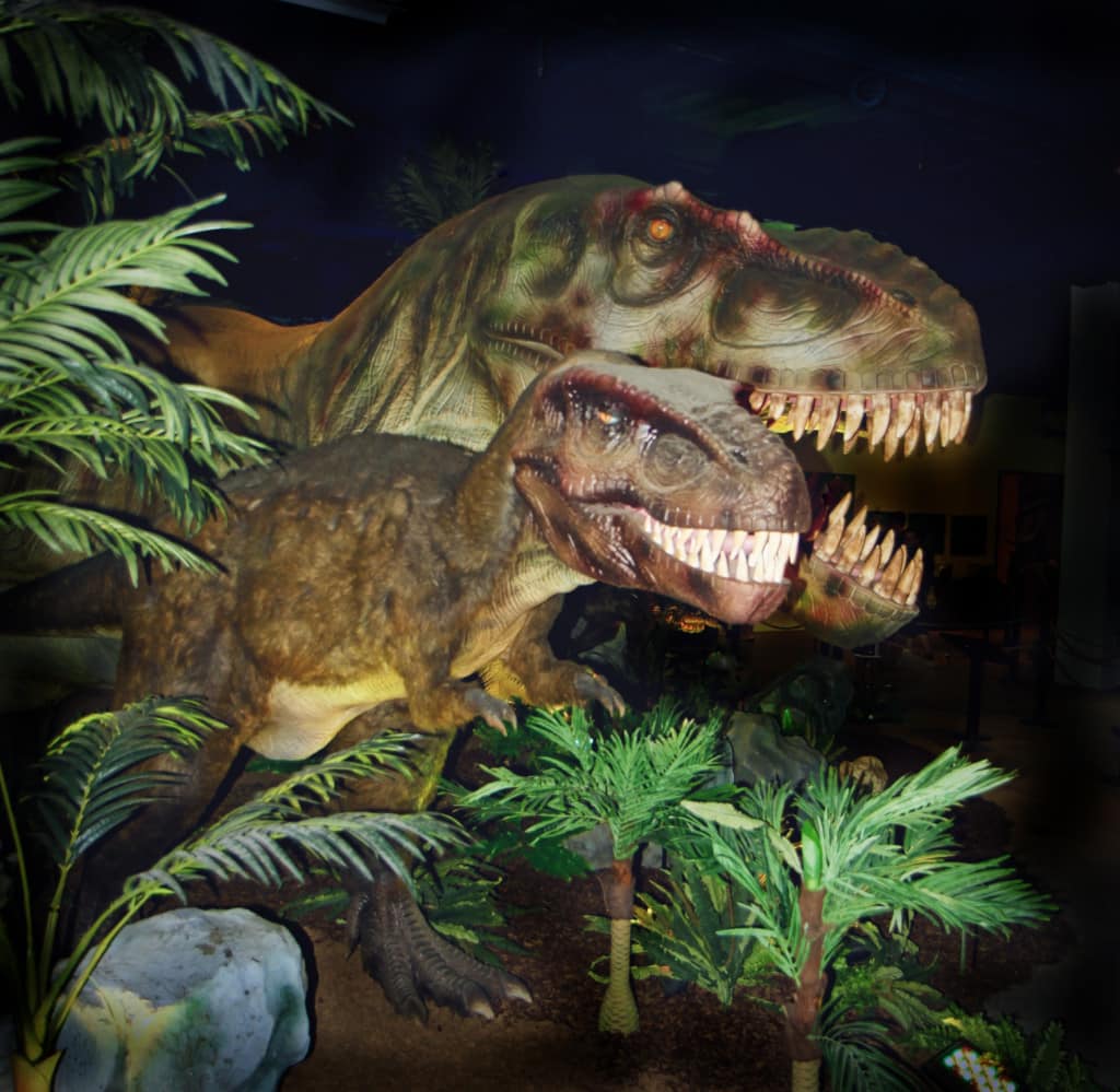 Do you love dinosaurs? Then check out Extreme Dinosaurs at the Discovery Cube OC where you are transported back to see the world’s strangest dinosaurs with 17 life-size animatronic creatures.