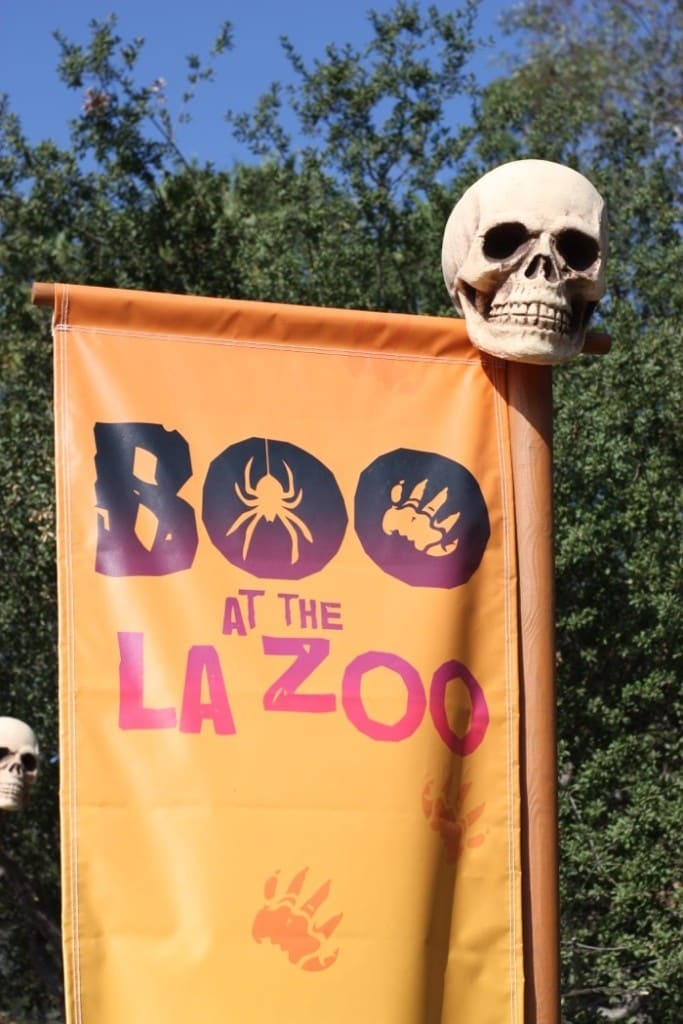 Are you looking for a family friendly Halloween event in Los Angeles? Check out Boo at the Zoo, a month long celebration at the Los Angeles Zoo and Botanical Gardens, that offers weekend adventures and daily activities for families.