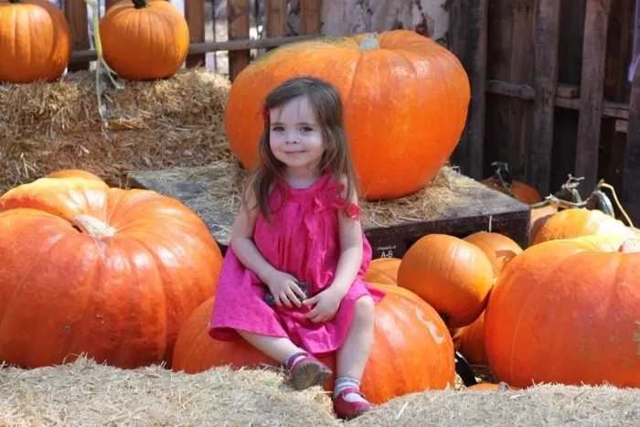 Are you looking for a family friendly Halloween event in Los Angeles? Check out Boo at the Zoo, a month long celebration at the Los Angeles Zoo and Botanical Gardens, that offers weekend adventures and daily activities for families.