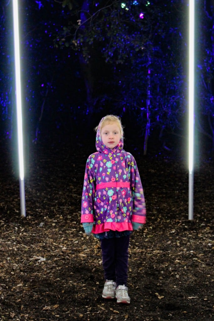 This holiday season, Descanso Gardens in Los Angeles, California will be transformed into Enchanted Forest of Light - an interactive, nighttime experience, featuring a one-mile walk through 10 distinct lighting displays in some of the most beloved areas of the gardens.