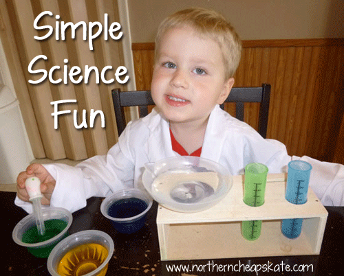 Are you a homeschool parent? Check out these 25 science projects for homeschoolers that are easy for homeschoolers to do at home and with limited supplies.