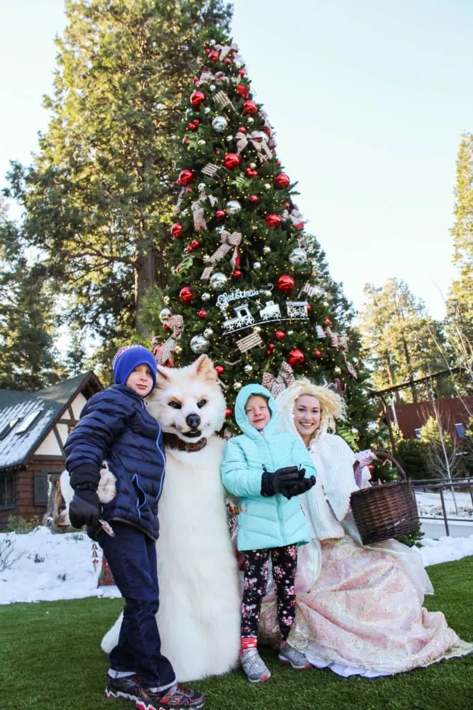 Skypark at Santa's Village near Lake Arrowhead, California is a year round Christmas theme park for people of all ages! Savor the nostalgia of an “Old World Christmas in the Woods” with family and friends. They offer mining for gold, visits with Santa & Mrs. Clause, zip lining, archery, indoor and outdoor rock climbing, crafts, daily story time, train rides and more. Discount tickets to Santa's Village are also available from time to time.