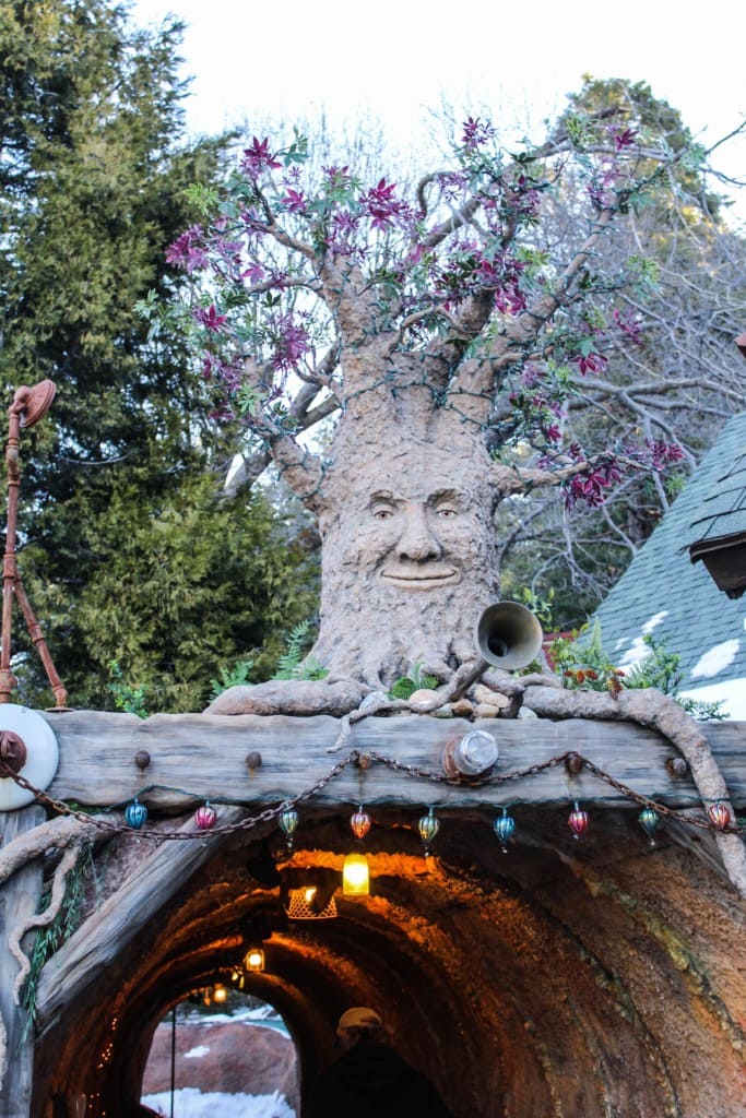 Skypark at Santa's Village near Lake Arrowhead, California is a year round Christmas theme park for people of all ages! Savor the nostalgia of an “Old World Christmas in the Woods” with family and friends. They offer mining for gold, visits with Santa & Mrs. Clause, zip lining, archery, indoor and outdoor rock climbing, crafts, daily story time, train rides and more. Discount tickets to Santa's Village are also available from time to time.