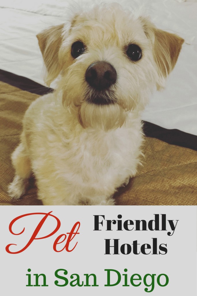 Are you planning a pet friendly vacation to San Diego? Check out Extended Stay America where pets are always welcome guests. Extended Stay America is an economy, extended-stay hotel chain consisting of 629 properties in the United States and Canada. They offer discounts and special offers for pet owners just like you!