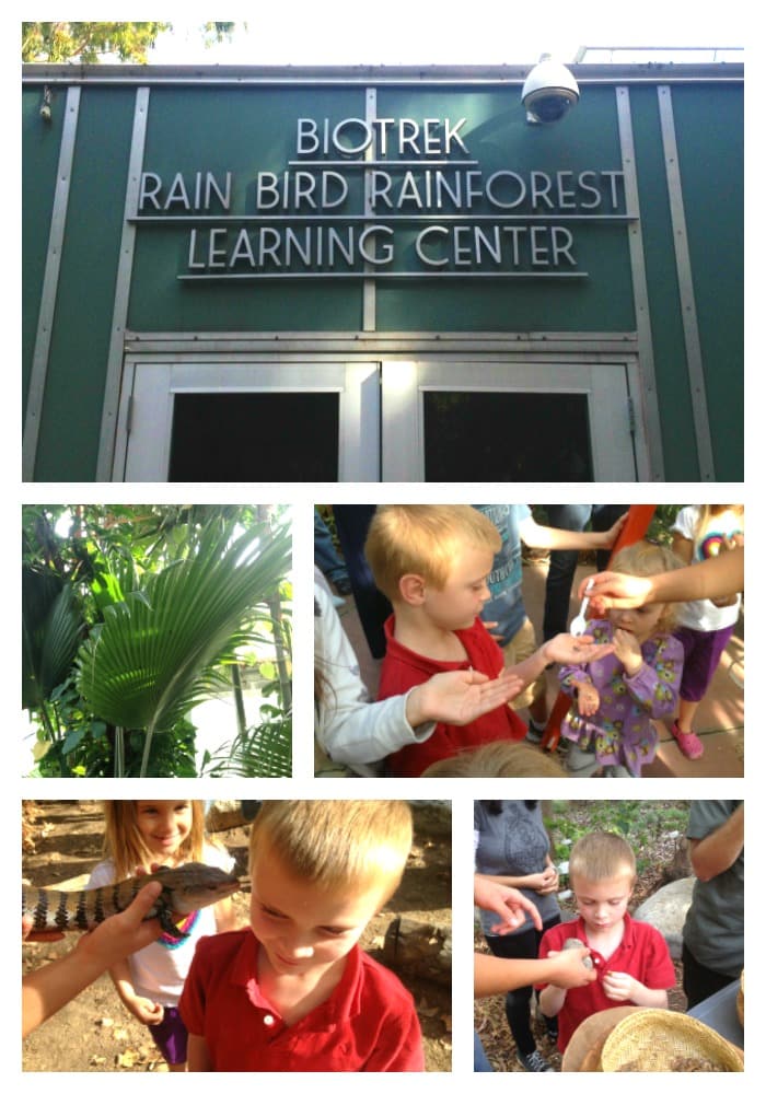 Visit Southern California's only living rainforest called the BioTrek Rain Bird Rainforest Learning Center in Pomona. Through its greenhouse, garden, and labs, BioTrek brings students and the public both hands-on and electronic educational experiences of the tropical rainforest, aquatic environments of the tropics and California, and California indigenous plants and people.
