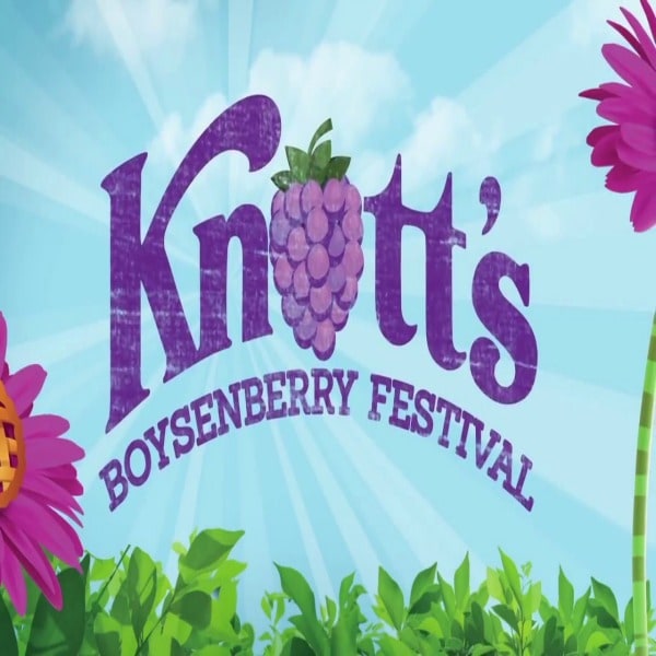 Did you know that the boysenberry is the founding fruit of Knott's Berry Farm? Every year the Knott's Boysenberry Festival celebrates this precious fruit, which is a cross between a blackberry, raspberry and loganberry. The Knott's Boysenberry Festival in Buena Park, California takes place every spring and is an annual celebration of 