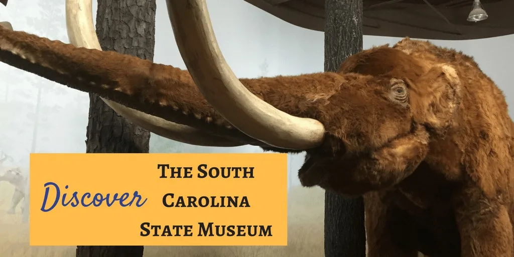 The South Carolina State Museum features four floors of permanent exhibits on history, art, natural history and science and technology. Explore the diverse and exciting history of South Carolina through fascinating displays on dinosaurs, pre-historic fossils, the Revolutionary War, the Civil War, African-American history and more. You’ll find South Carolina art featured across all four floors of exhibit galleries and you won’t be able to miss, ‘Finn’, our giant pre-historic megalodon shark replica!