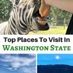 Are you planning a vacation to Washington State? Check out these Top Not-To-Miss Places To Visit in Washington while touring the area.