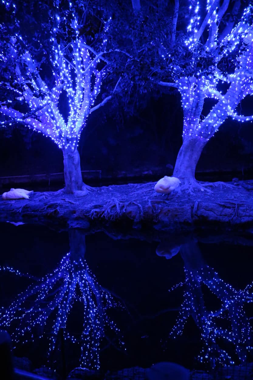 How to get discount tickets to LA Zoo Lights in Los Angeles