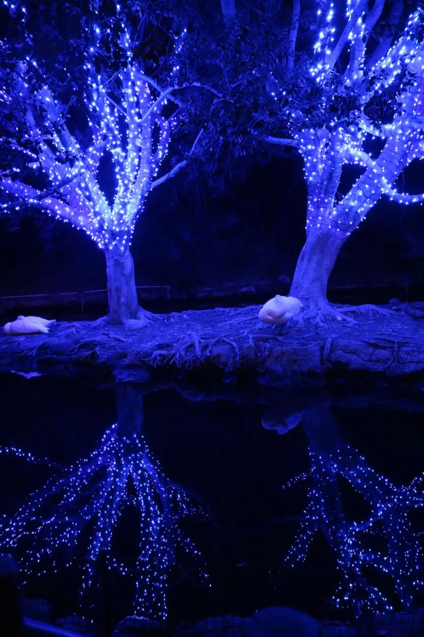 How to get discount tickets to LA Zoo Lights in Los Angeles