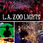 Do you want to take your family to a truly festive holiday event this year? Then check out the LA Zoo Lights with over 100,000 sparkling lights on display.