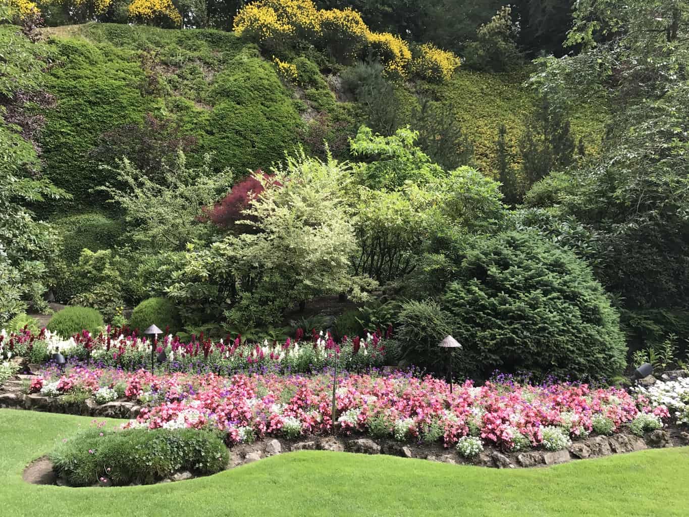 Are you planning a vacation to British Columbia? Come see why Butchart Gardens in Victoria, Canada is designated a National Historic Site. Explore the breathtaking 55 acres of gardens year around. In Spring, countless tulips, daffodils and hyacinths will give you a buffet of fragrances and colours. You’ll be saying “wow” when you experience our Summer: The Rose Garden, evening entertainment, subtle night illuminations, the Saturday firework show, and boat tours to name a few of the delights. Perennial borders start their stunning show in late summer, and the Japanese maples turn to russet, gold, and red in the fall. Be captivated by the Magic of Christmas with its decorations, expansive lighting and outdoor ice skating rink. Top off the day with a ride on the carousel and a great meal. 