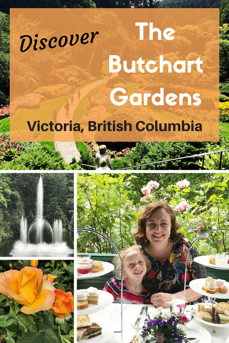 Are you planning a vacation to British Columbia? Come see why The Butchart Gardens in Victoria, Canada is designated a National Historic Site. Explore the breathtaking 55 acres of gardens year around. In Spring, countless tulips, daffodils and hyacinths will give you a buffet of fragrances and colours. You’ll be saying “wow” when you experience our Summer: The Rose Garden, evening entertainment, subtle night illuminations, the Saturday firework show, and boat tours to name a few of the delights. Perennial borders start their stunning show in late summer, and the Japanese maples turn to russet, gold, and red in the fall. Be captivated by the Magic of Christmas with its decorations, expansive lighting and outdoor ice skating rink. Top off the day with a ride on the carousel and a great meal. 