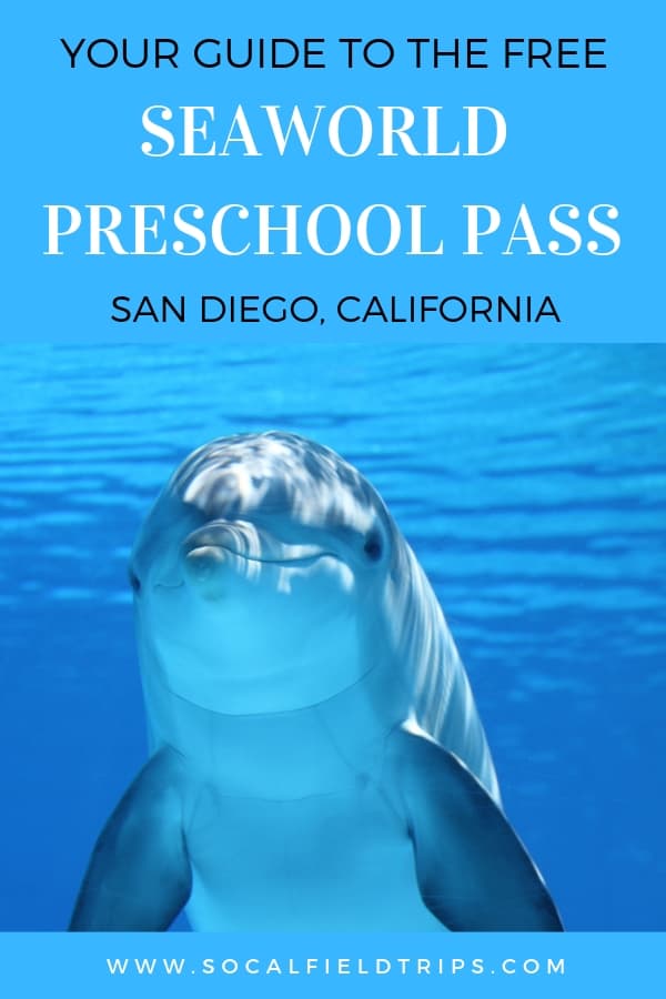 SeaWorld San Diego is delighted to offer a free 2020 SeaWorld Preschool Fun Card to the first 10,000 registered preschoolers. A $20 Fun Card will be available for purchase after that. This fun card grants kids ages 5 and younger unlimited admission to SeaWorld San Diego through Dec. 30, 2020.