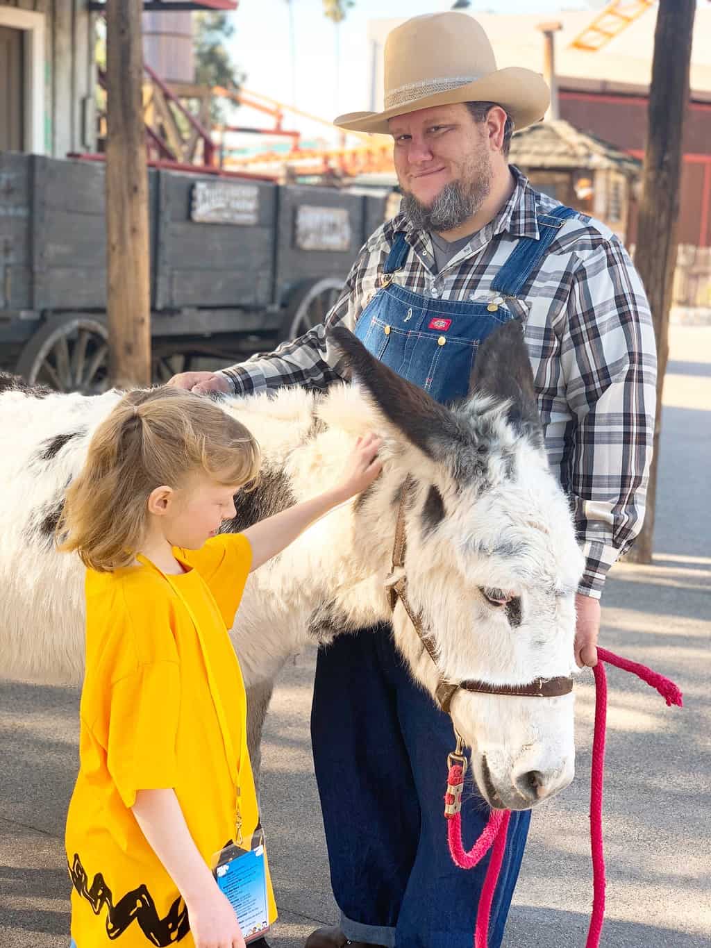Are you a Snoopy fan? Attend the annual Knott's Berry Farm Peanuts Celebration every winter in Buena Park, California! From Snoopy inspired treats to live entertainment to meeting Pig Pen in the Livery Stable, there is something for every Snoopy fan.