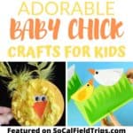 10 Fun Baby Chick Crafts For Kids