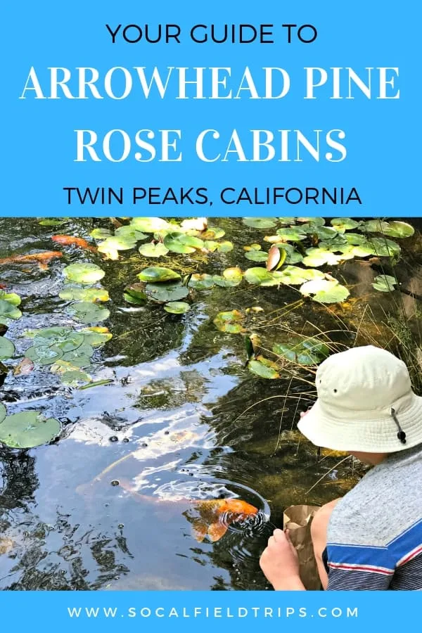 Arrowhead Pine Rose Cabins is a rustic cabin resort nestled within the San Bernardino Mountains near Twin Peaks, California. Located four miles from Lake Arrowhead and a few miles from SkyPark at Santa's Village, the wooded Pine Rose campus is the perfect site for an adventurous family vacation. The property consists of 20 beautifully rustic cabins, ranging from quaint studio cabins to 4+ bedroom lodges for large get-togethers.