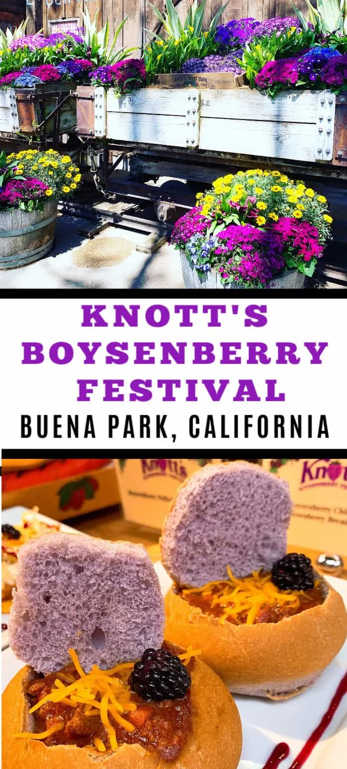 Do you enjoy food festivals? From endless boysenberry food pairings to boysenberry photo ops to a highly contentious boysenberry pie-eating contest, there is something for everyone at the Knott's Boysenberry Festival in Buena Park. #knotts #travel #california #boysenberry #boysenberryrecipe #familytravel Do you enjoy food festivals? From endless boysenberry food pairings to boysenberry photo ops to a highly contentious boysenberry pie-eating contest, there is something for everyone at the Knott's Boysenberry Festival in Buena Park. #knotts #travel #california #boysenberry #boysenberryrecipe #familytravel