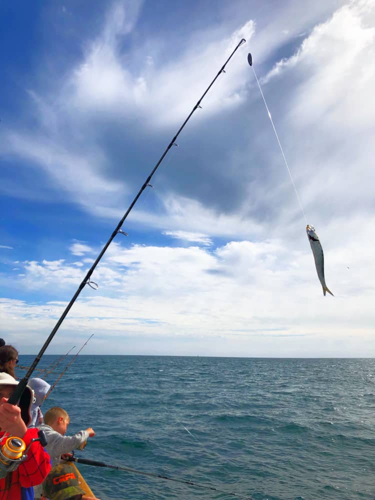 Free Kids Fishing Clinic with Dana Wharf Sportfishing - SoCal Field Trips