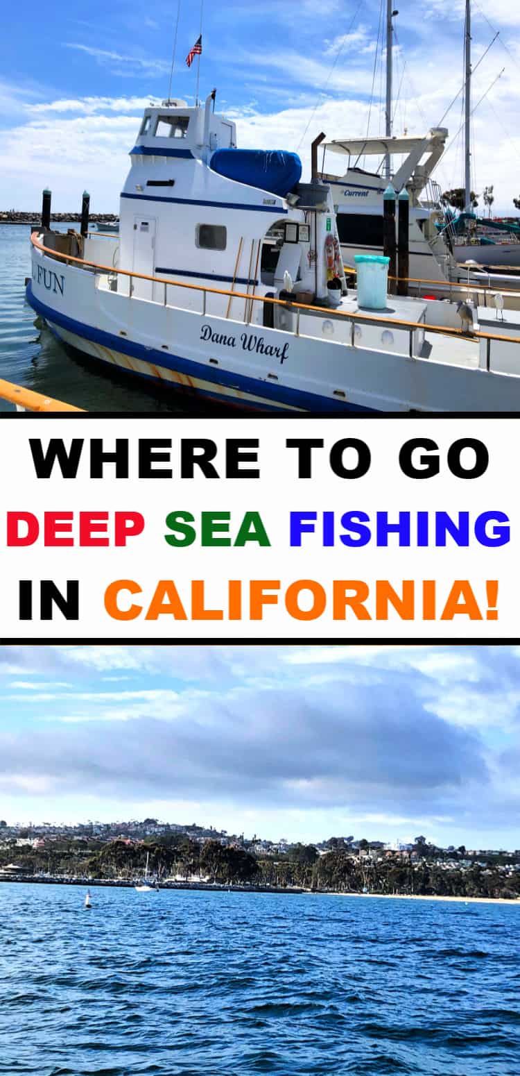 Are you among the many fishing enthusiasts in California who have tried their hand at both freshwater and saltwater fishing? As a huge state with a beautiful coastline, California offers you numerous opportunities to enjoy both inshore and offshore fishing activities. Hereâ€™s a little guide to the best places to go deep sea fishing in California. Click here to learn more.