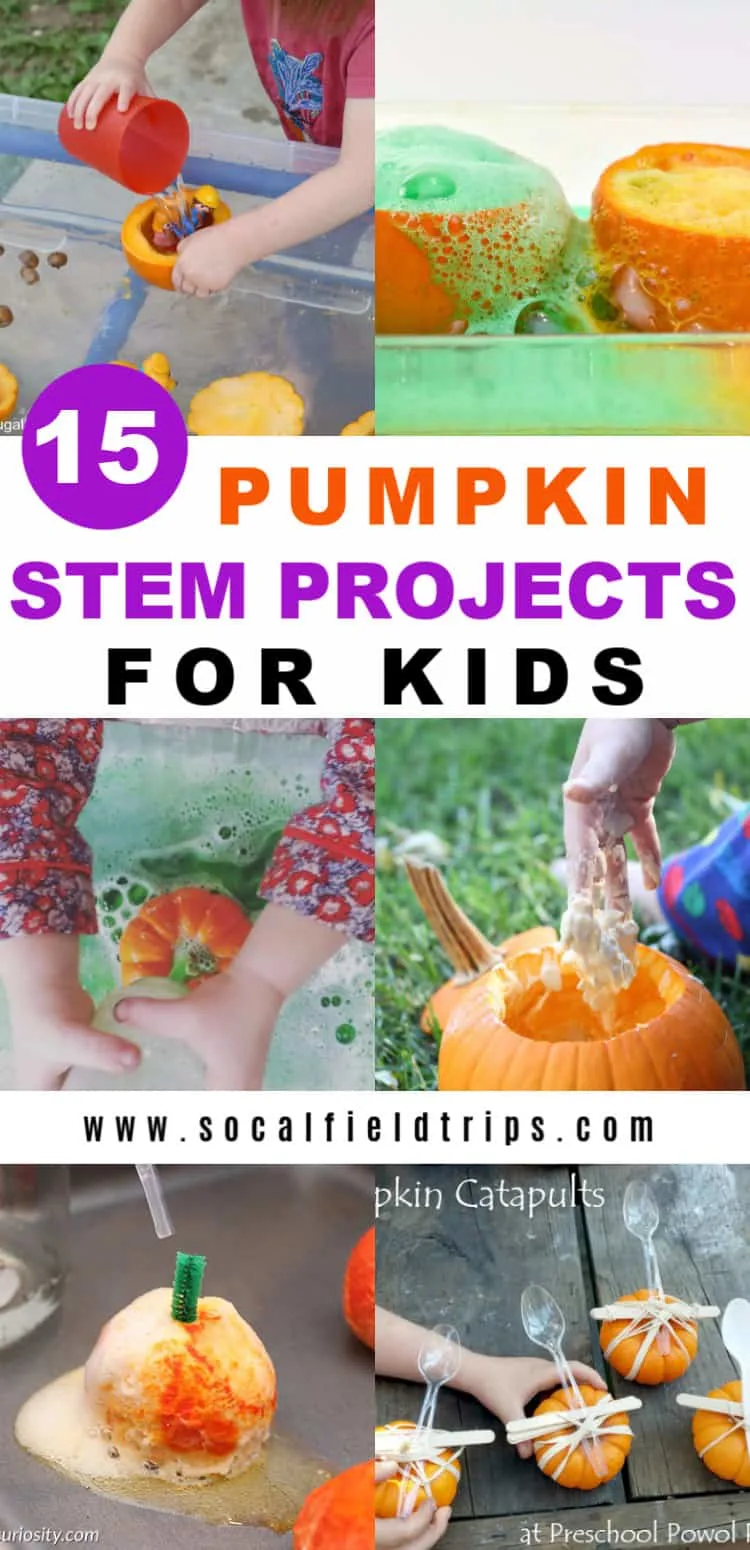 Are you looking for a fun pumpkin science experiment to do with your kids or classroom? Check out these 15 Easy Pumpkin STEM Projects For Kids! From making pumpkin oobleck to exploding pumpkin volcanos, there's bound to be at least pumpkin science project every child will love.