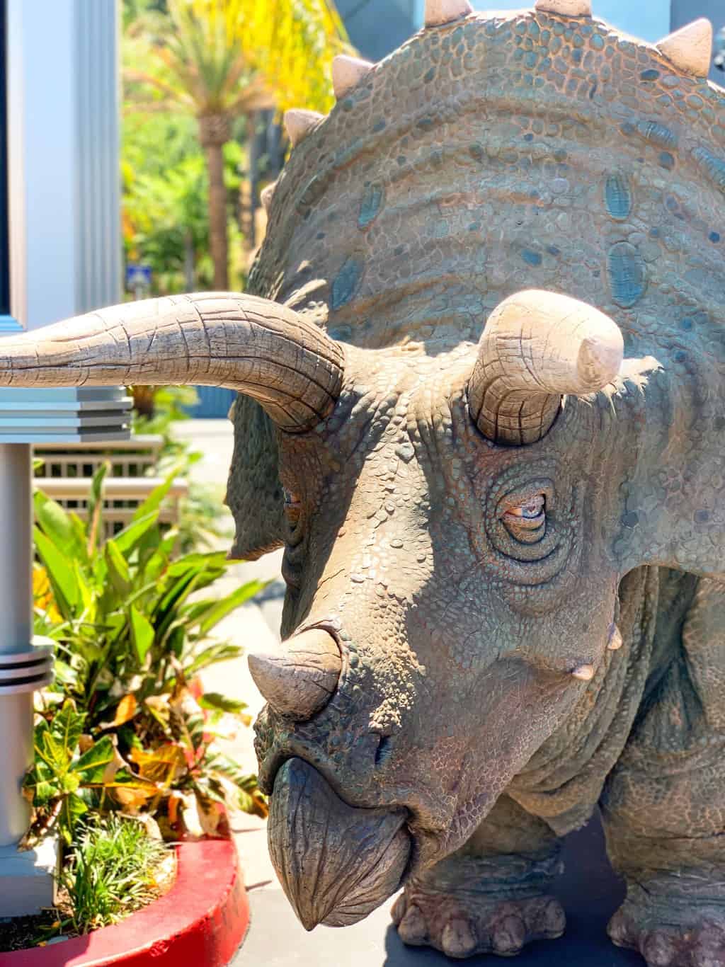 Triceratops at Raptor Encounter at Universal Studios Hollywood